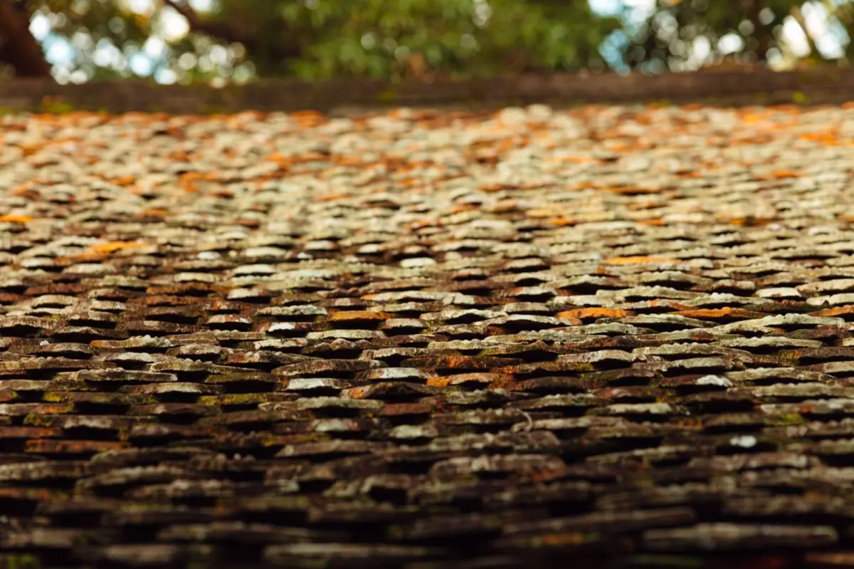 Aging shingle roof with moss growth and granule loss in Pasco, WA